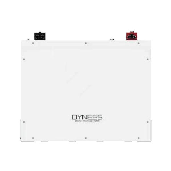 Dyness 48100 4.8kwh